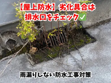 【屋上防水】劣化具合は排水口をチェック！雨漏りしない防水工事の対策